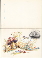 80728-LADY BUG, FLOWERS, SQUIRREL, MUSHROOMS, 2 PARTS FOLDED - Mushrooms