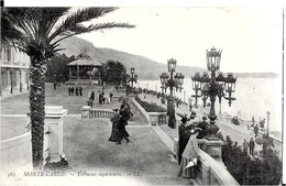 MONACO  . TERRASSES   SUPERIEURES - Le Terrazze