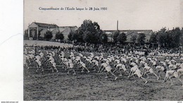 3886 - 71 Châlon Sur Saône - Cinquantenaire De L'Ecole LaÏque Le 28 Juin 1931 - Chalon Sur Saone