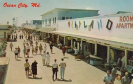 Ocean City Maryland, Boardwalk 'Playland' Sign, Amusement Rides, C1960s Vintage Postcard - Ocean City