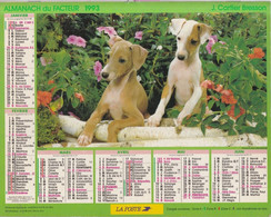 Calendrier Des Postes PTT 1993 SEINE-MARITIME, Chiots, Whippets,  2 Photos Sur Carton Souple - Grand Format : 1991-00