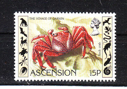 Ascension -  1982. Granchio Rosso. Red Crab. MNH - Crustaceans