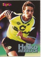 BRD Heiko Herrlich Borussia Dortmund Fussball - Sammelbild Aus Den 90-ziger Jahren - Sport