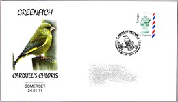 VERDERON COMUN - Carduelis Chloris - GREENFICH. Somerset 2011 - Afstempelingen & Vlagstempels