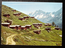 LÖTSCHENTAL Wiler Weritzalp - Wiler