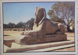 Egypt - Sphinx - Sphynx