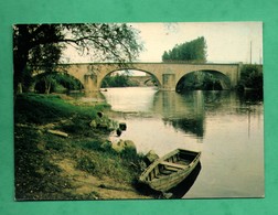 82 Tarn Et Garonne Albias Bords De L ' Aveyron  (dos Taché Voir Scans) - Albias