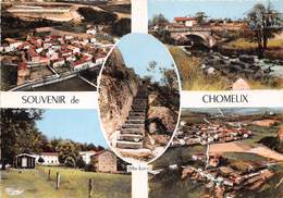 43-CHOMELIX- MULTIVUES - Yssingeaux