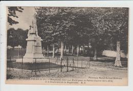 SAINT PALAIS - PYRENEES ATLANTIQUES - MONUMENT ELEVE AUX MORTS POUR LA PATRIE ET LE BOULEVARD DE LA MAGDELEINE - Saint Palais