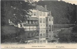 Wijnegem - Wyneghem   *  Chateau "Byckhoven"   (Hoelen,921) - Wijnegem