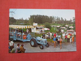 Knollwood Groves    Wagon Train Ride Palm Beach Florida       Ref 3528 - Palm Beach