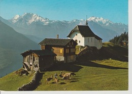 19 / 8 / 104. -  BETTMERALP.  ( VS ). - CHALETS - Bettmeralp