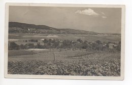 GUNTALINGEN Bezirk Andelfingen - Andelfingen