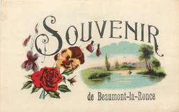 CPA 37 Indre Et Loire Beaumont-la-Ronce Souvenir De - Beaumont-la-Ronce