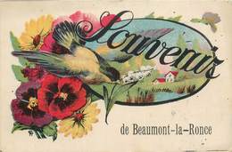 CPA 37 Indre Et Loire Beaumont-la-Ronce Souvenir De - Beaumont-la-Ronce