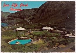 Sea Life Park, Hawaii, Unused Postcard [23395] - Oahu