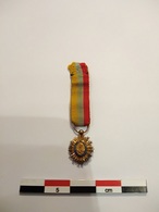 Vénézuela Insigne De L'Ordre De Simon Bolivar - Sonstige & Ohne Zuordnung