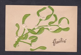 Carte Gaufree Embossed Amitie Branche De Gui ( Plante Sacree Symbole De L' Immortalité... Signature ) - Medicinal Plants