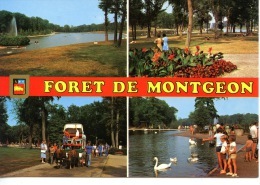 Le Havre : Forêt De Montgeon (roulotte Cheval Cygne) Multivues Cp Vierge N°57624/658 Mage - Forêt De Montgeon