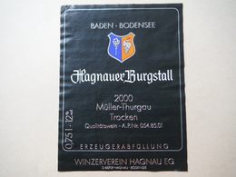 Baden Bodensee - Hagnauer Burgstall Müller Thurgau 2000 - Winzerverein Hagnau EG - Deutschland - Autres & Non Classés