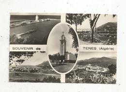 Cp , ALGERIE ,  Souvenir DeTENES ,  Multi Vues ,  Vierge - Otras Ciudades