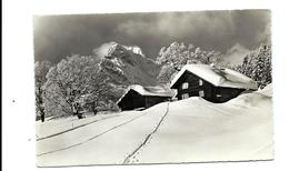 BRAUNWALD - Bauernhof Heuerberg - Echter Ph.  éditeur - 1959 - Braunwald