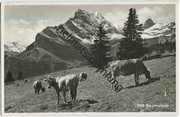 Braunwaldalp - Kühe - Foto-AK - Verlag Schönwetter Elmer Glarus - Gel. 1952 - Elm