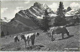 Braunwaldalp - Foto-AK - Verlag Schönwetter Elmer Glarus Gel. 1962 - Elm