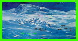 FROBISHER BAY, NWT - ARTIST, MARY COUSINS - FROM FORBISHER INN'S COLLECTION - PHOENIX OFFSET - DIMENSION 9 X 17 Cm - Other & Unclassified