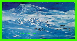 FROBISHER BAY, NWT - ARTIST, MARY COUSINS - FROM FORBISHER INN'S COLLECTION - PHOENIX OFFSET - DIMENSION 9 X 17 Cm - Otros & Sin Clasificación