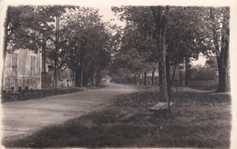 Champs Sur Yonne L Avenue De La Gare Carte Photo - Champs Sur Yonne