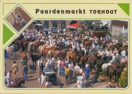 Delcampe - TORHOUT : Paardemarkt *St.-Pieterskerk *Stadhuis *Landbouwmuseum * Kinderboerderij *St.-Augustinustehuis * Stadspark. - Torhout