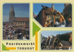 TORHOUT : Paardemarkt * St.-Pieterskerk * Kasteel Van Wijnendaele *  Vredegerecht * Station * Centrum « Ten Walle ». - Torhout
