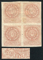 ARGENTINA: GJ.10, 5c. Dull Rose Without Accent Over The U, Block Of 4, Mint Original Gum, One With "RETOUCH In EN Of CEN - Used Stamps