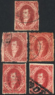 ARGENTINA: GJ.26, 5th Printing, Lot Of 5 Stamps, All Different (very Notable Color Variations), Interesting! - Usados