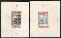 ARGENTINA: GJ.237/238, 1899 10P. And 20P. Seated Liberty, DIE PROOFS Printed On Cards With Glazed Front, In Unissued Col - Autres & Non Classés