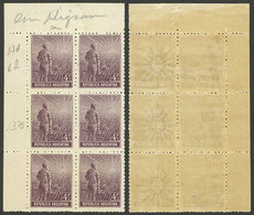 ARGENTINA: GJ.331b, Block Of 6 Consisting Of 3 Pairs WITH AND WITHOUT WATERMARK, MNH (+50%), VF! - Sonstige & Ohne Zuordnung