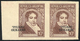 ARGENTINA: GJ.636, Proof, Imperforate Pair On Unwatermarked Ordinary Paper Not Gummed, Inverted SERVICIO OFICIAL Overpri - Officials