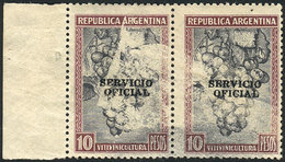 ARGENTINA: GJ.669, 10P. Grapes Unwatermarked, Pair With Spectacular Varieties: Stamps With Large Unprinted Areas And The - Service