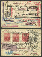 ARGENTINA: NEVER-ENDING JOURNEY: Small Cover Franked With 3x 5c. Seated Liberty, Sent From Domselaar To Braunschweig (Ge - Sonstige & Ohne Zuordnung