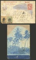 BRAZIL: RARA CARD ILLUSTRATED On Back With Photograph Of Palm Trees In Recife, Sent By REGISTERED Mail To Switzerland On - Altri & Non Classificati