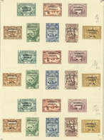 PORTUGUESE COLONIES: Old Collection On Pages And A Stockcard, With Used And Mint Stamps, Fine General Quality. The Owner - Other & Unclassified