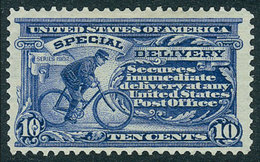 UNITED STATES: Sc.E6, 1902 10c. Ultramarine With Watermark Parts Of Double-line USPS Letters, Lightly Hinged, Very Fresh - Express & Einschreiben