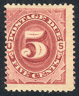 UNITED STATES: Sc.J25, 1891 5c. Carmine Rose, Mint Original Gum, VF, Catalog Value US$100. - Postage Due