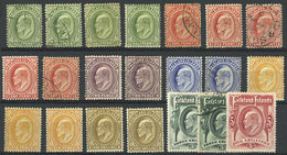 FALKLAND ISLANDS/MALVINAS: Sc.22/29, 1904/7 Edward VII, The Cmpl. Set Of 8 Values + Several Stamps In Different Shades,  - Falkland