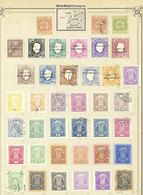 MOZAMBIQUE (COMPANY): Old Collection On Pages With Used And Mint Stamps, Fine General Quality. The Owner Indicates An Yv - Mozambique