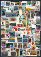 NEW ZEALAND: Lot Of Modern Stamps And Sets, VERY THEMATIC, Unmounted And Of Excellent Quality. Yvert Catalog Value Appro - Other & Unclassified