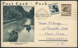 SOUTH AFRICA: 1½p. Postal Card + ½p. Green, View Of "Wilge River, Harrismith", Used In Cape Town In 1960, VF!" - Autres & Non Classés