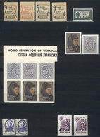 UKRAINE: Stockbook With Large Number Of Very Interesting CINDERELLAS, Also Including Some Stamps, Unique Lot, Very Fine  - Oekraïne