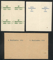 ARGENTINA: GJ.695/707, 1931 1st Anniversary Of The 1930 Revolution, PROOFS Of The Overprints, VF Quality, Rare! - Nuovi